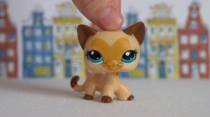 LPS/ В ПОИСКАХ МЕЧТЫ  / lps редкие кошки