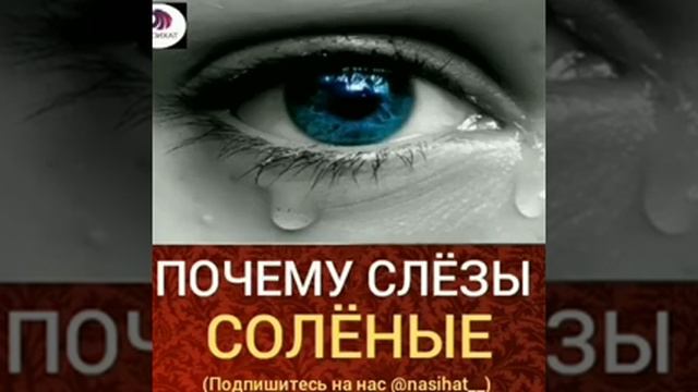 Почему слезы соленые а не пресные.ислам медия смотреть онлайн