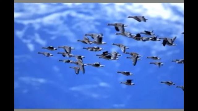 прикольный стишок смотреть онлайн