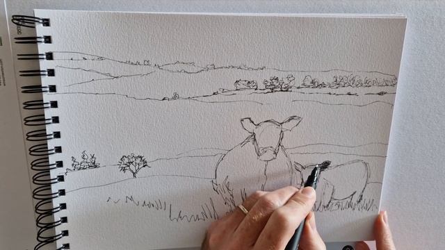 White Galloway Cow and Calf in English Landscape Drawing - RRMAIN Day 2 смотреть онлайн
