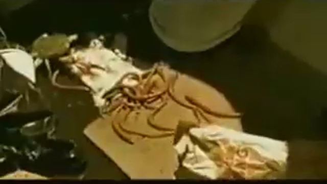 Royal Fam - The Legacy смотреть онлайн