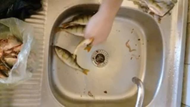 Как чистить окуня что бы чешуя не разлеталась по всей кухне. смотреть онлайн