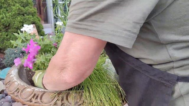 Container Pots At The Entrances