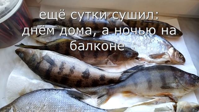 Домашние Животные и Их Уход