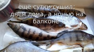 Рыба горячего копчения засол в тузлуке