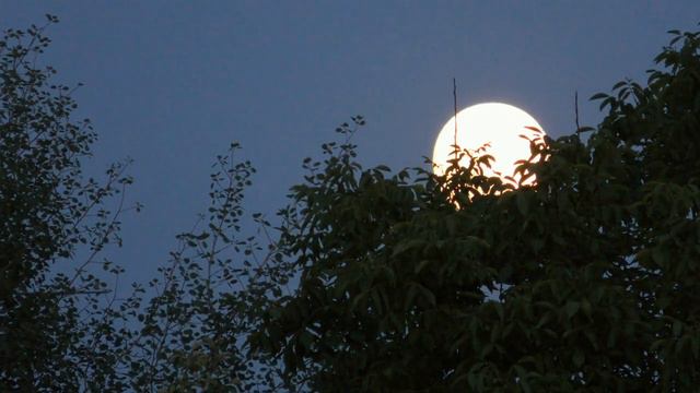 Восход полной луны.Видео зарисовка смотреть онлайн