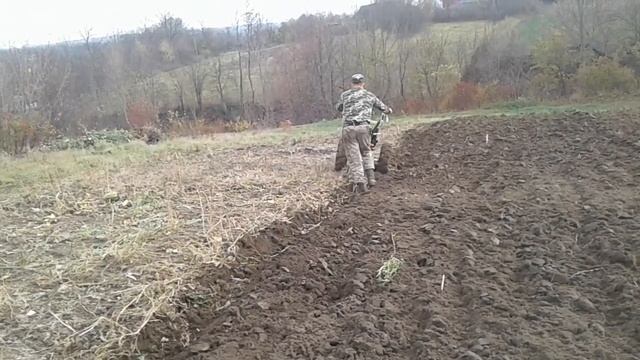 Мотоблок Зубр в оранці смотреть онлайн