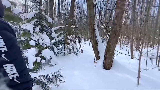 Нашли кладбище домашних животных смотреть онлайн