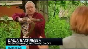 Даша Васильева. Любительница частного сыска