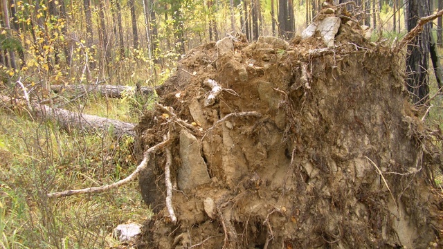 Поиск драгоценных камней. Поиск жилы в обнажениях