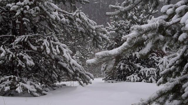 Lively wallpaper snow #2022 смотреть онлайн