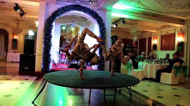 Tiger baby смотреть онлайн