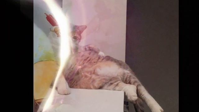 После ТАКОГО!? НЕ уснуть!))??"Люсь, ты не спишь?" Сола Монова /исп. ?СИма ? & ? юЛЯ ?/ смотреть онлайн