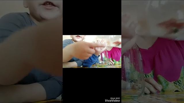 Покупаем рыбок смотреть онлайн