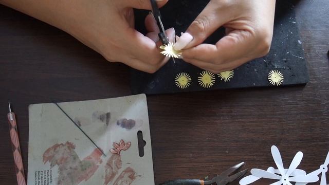 Magnolia Kobus Stellata Part 1 Preparing The Templates