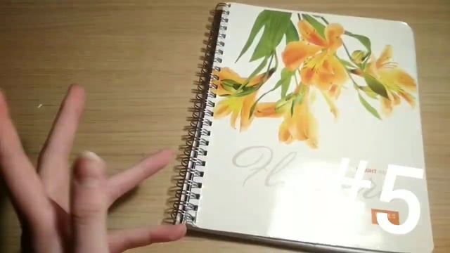 ЧТО ПИСАТЬ В БЛОКНОТАХ? / ЧТО ПИСАТЬ В ТЕТРАДЯХ? смотреть онлайн