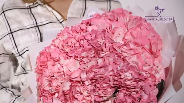 Букет из 11 розовых гортензий смотреть онлайн