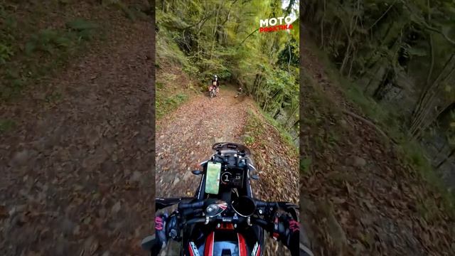 Тренинг тур на турэндуро Сочи 11.23 смотреть онлайн