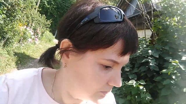 Vlog: Солнце, дача, много ягод! 25.07.2020 смотреть онлайн
