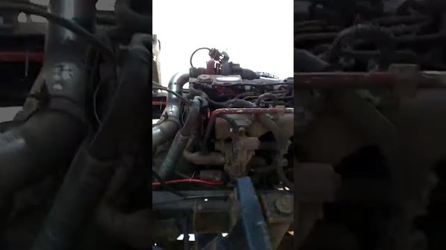 Бав феникс евро 4 заводился и глох