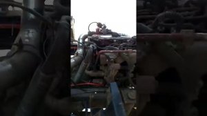 Бав феникс евро 4 заводился и глох