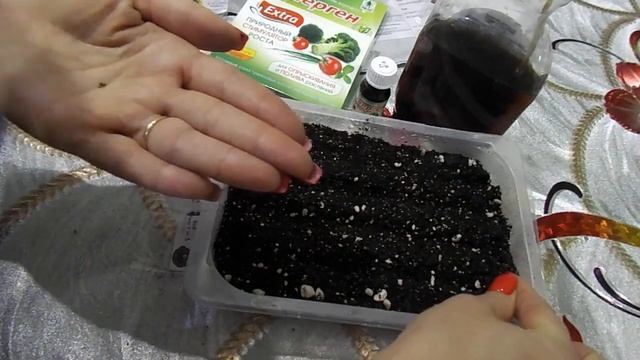ВИОЛА ИЛИ АНЮТИНЫ ГЛАЗКИ.ПОСЕВ ПРОФ.СЕМЯН НА РАССАДУ. смотреть онлайн