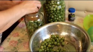 СОЛЕНЫЙ КРЫЖОВНИК!?Ну, ОЧЕНЬ ВКУСНЫЙ!?Tuzlu Bektaşi Üzümü?Salted Gooseberries for the Winter
