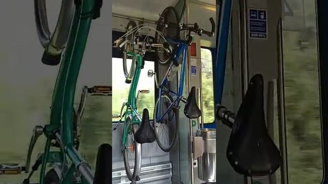 Велосипеды в электричке бизнес-класса ЭПр смотреть онлайн