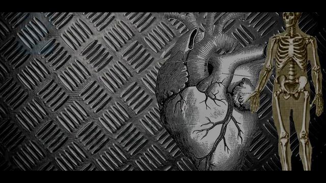 100KG. Мышечная память. смотреть онлайн