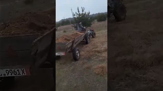 Покатушкі мотоблоком смотреть онлайн