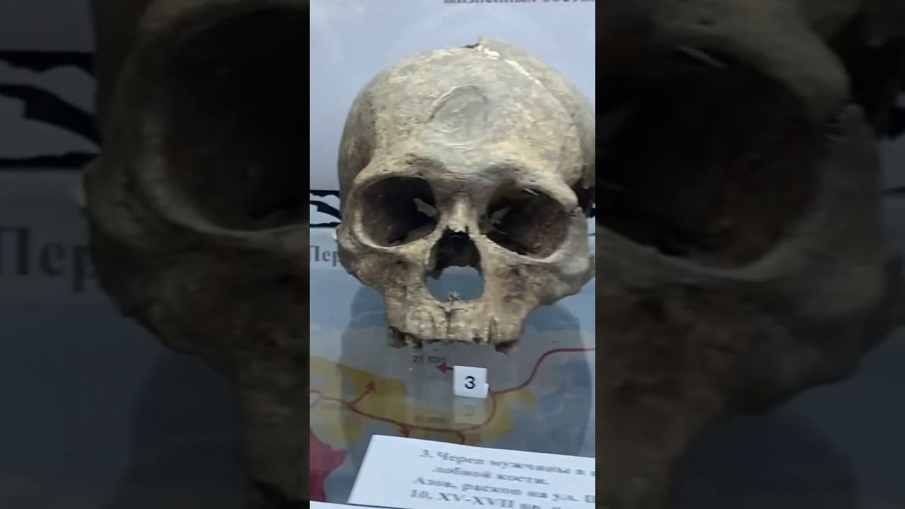 Черепа древних воинов со следами ранений смотреть онлайн