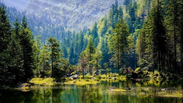 Odprężająca Muzyka Relaksacyjna Na Uspokojenie i Stres + Spokojna Muzyka Na Wyciszenie Umysłu смотреть онлайн