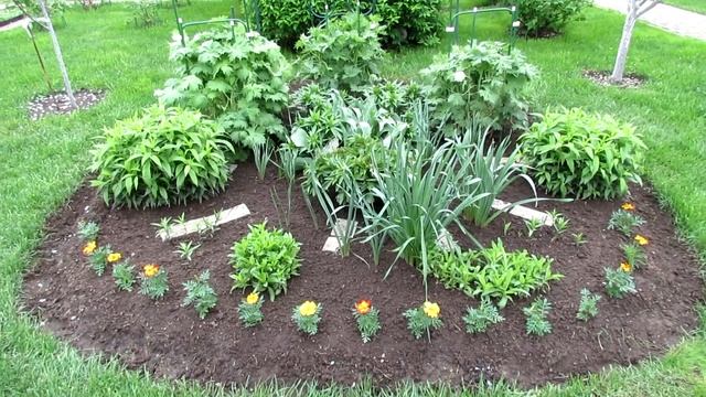 Клумба непрерывного цветения из многолетников | Про Сад с Любовью смотреть онлайн