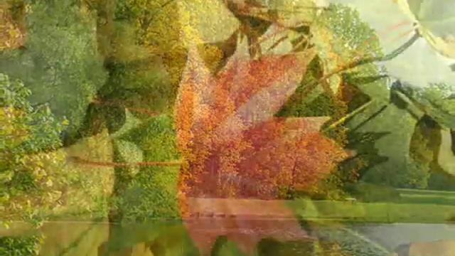 ПОСЛЕ БАЛА... Д. МАЛИКОВ.wmv смотреть онлайн