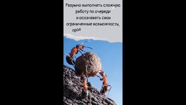 ... люди, чтущие своего Бога, усилятся и будут действовать." смотреть онлайн