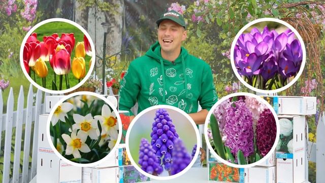 500 сортов луковичных цветов уже ждут вас в магазине Беккер! смотреть онлайн