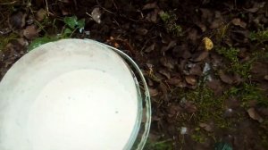 Как приготовить бордоскую жидкость 3%