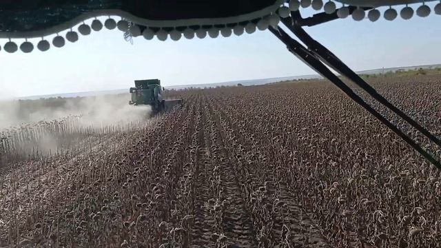 Уборка семечки смотреть онлайн