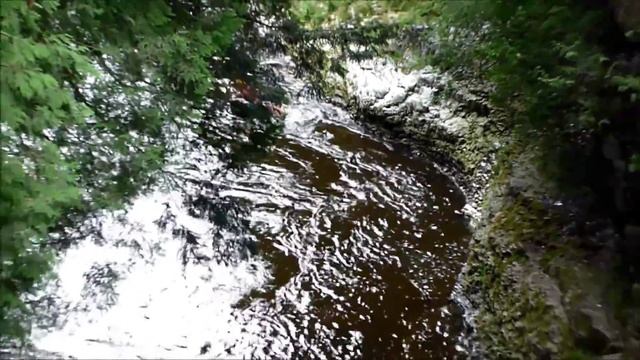 Жизнь в Канаде. Провинция Онтарио летом, Торонто, Канада. Тюбинг по реке. смотреть онлайн