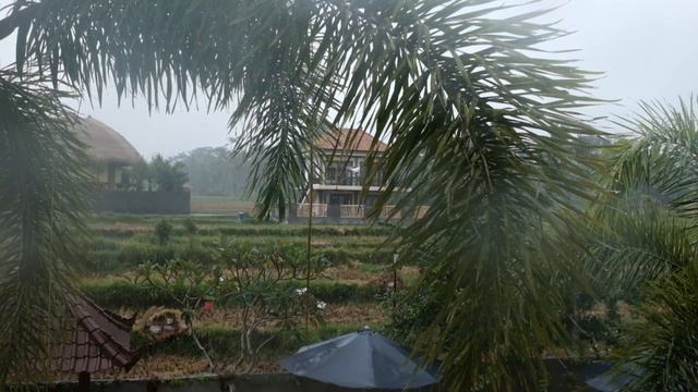 ? АСМР. Гипноз. Тропический ливень. Полное расслабление и погружение. ASMR. смотреть онлайн