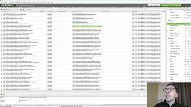 Website Audit Canonical URL | Canonical Tag SEO | Screaming Frog Tutorial Deutsch смотреть онлайн