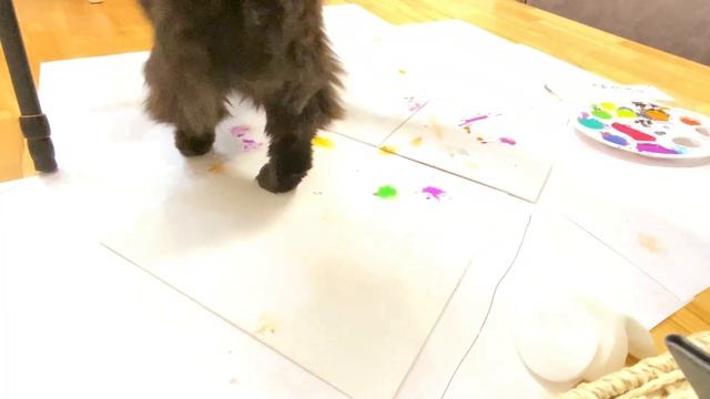 ?Кот рисует картину акварелью / кот стал художником смотреть онлайн