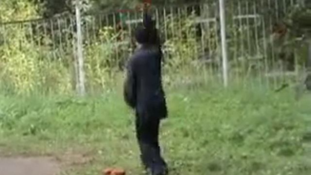 Веер-Тайцзи, стиль Чень. На семинаре. смотреть онлайн