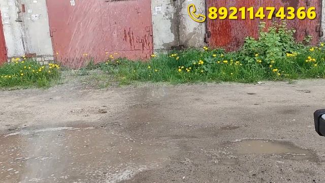Череповец абиссинская скважина хорошие отзывы