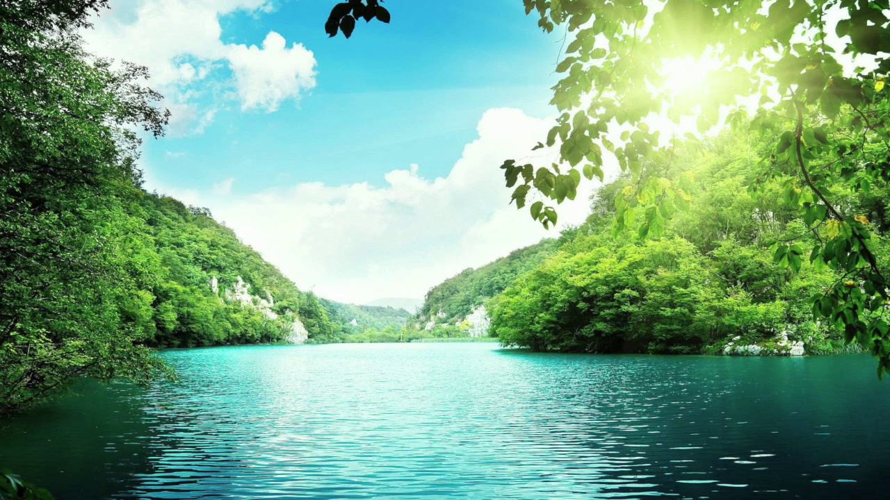 ЗВУКИ ПРИРОДЫ смотреть онлайн