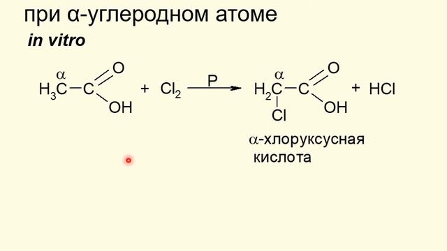 ЛЕКЦИЯ 2. КИСЛОТЫ смотреть онлайн
