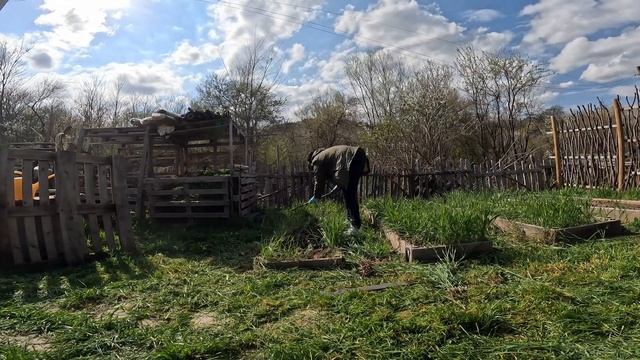 МИГ НЕВНИМАНИЕ - ЦЯЛ ДВОР С ТРЕВА | Премеждия с хидрофора | Мулчиране на пътеките смотреть онлайн