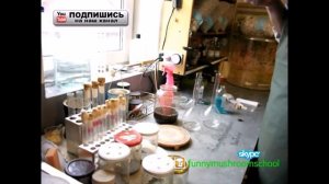 Вешенка мицелий, жидкая питательная среда, состав и приготовление