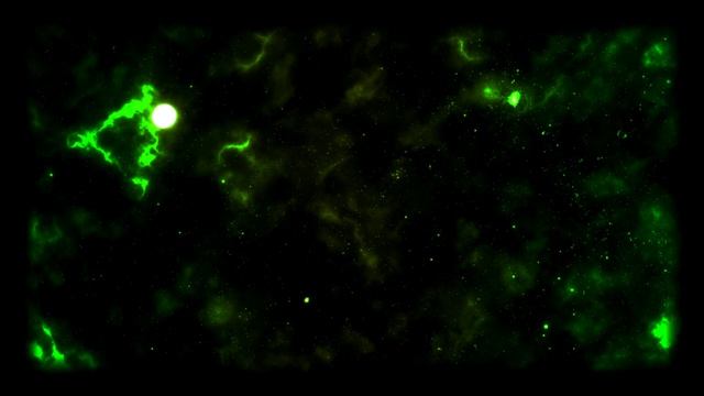 ТОП 15 Зелёных фонов стим │2020 смотреть онлайн