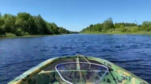 Продажа лодка Shark 330